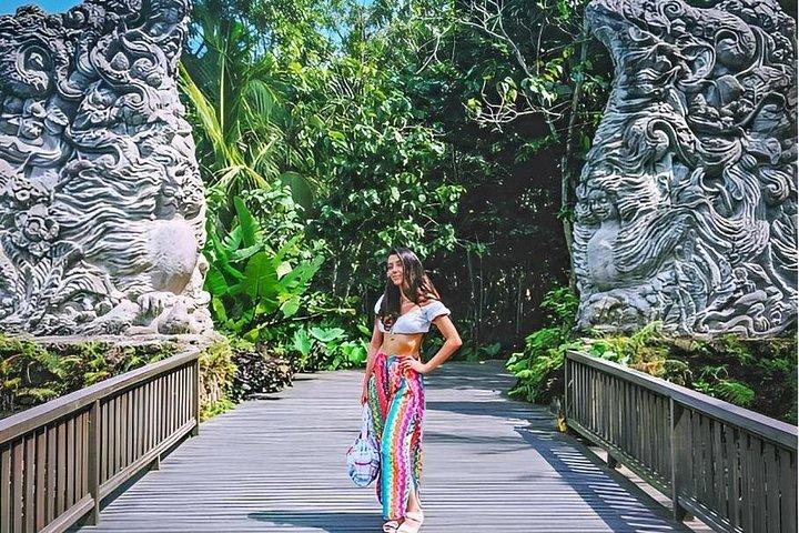 Ubud Tour com Jungle Swing e Waterfall Water Temple