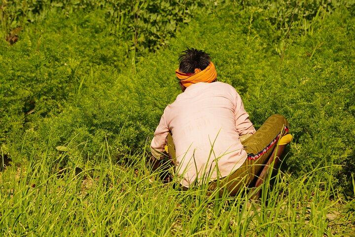 地元の家族と一緒にインドの伝統的な料理教室を体験