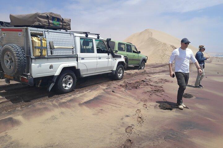 爽快なサンドイッチ ハーバー 4x4: ガイド付きセルフ ドライブ体験