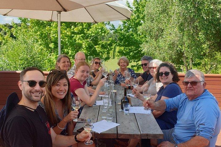 Piha Waitakere Rainforest Wine Tour from Auckland