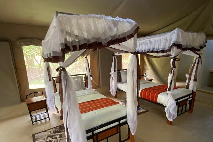 3-Day Masai Mara Safari
