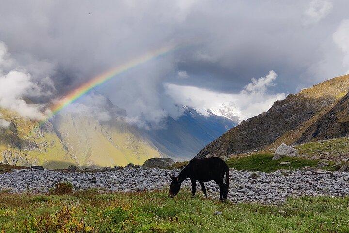 9 Days Bali Pass Trek
