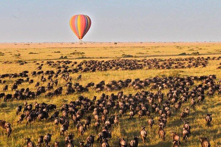 3 dage Maasai Mara Safari