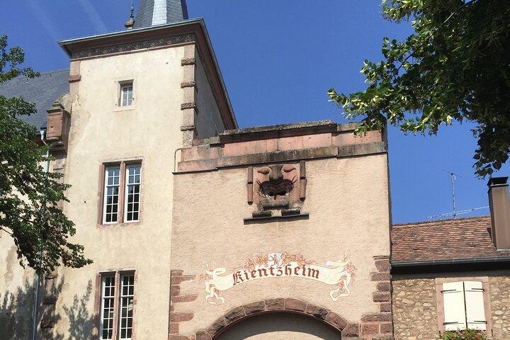 Évasion de raisin d'une journée sur la route des vins d'Alsace via Strasbourg