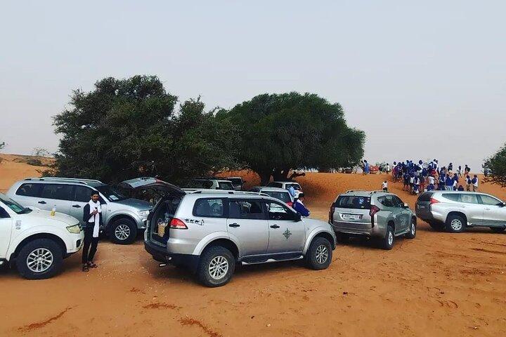 Heldagstur til ørkentur i Agadir med frokost