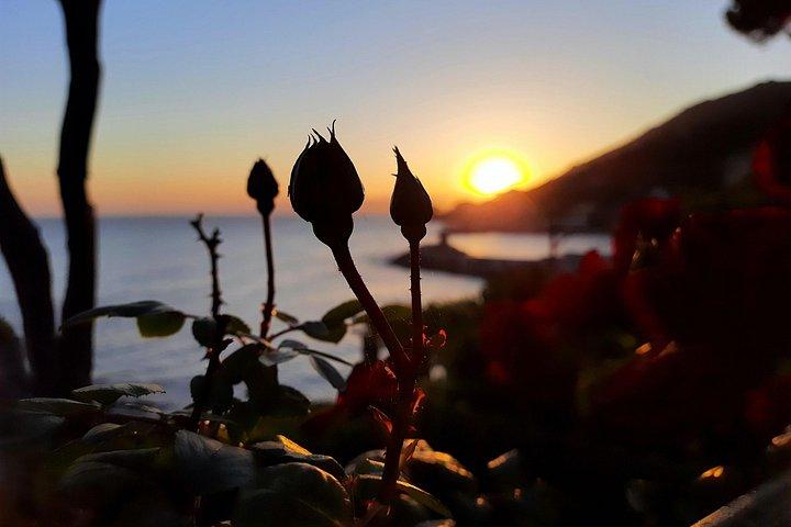 ユニークなチンクエテッレの写真撮影の日
