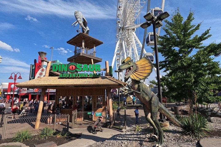 Full-Day Trip to Niagara Falls