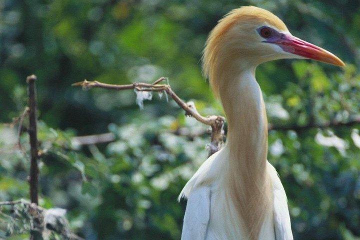 Bundala National Park by Ajith Safari