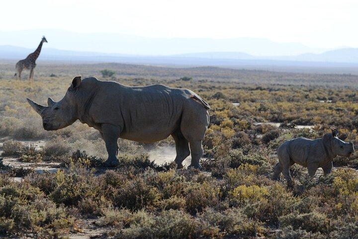Desde Arusha: Safari de 5 días por los valles y las tierras altas de Ngorongoro