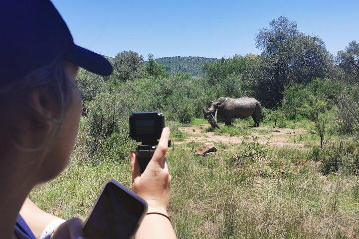 Pilanesberg National Park Safari from Johannesburg