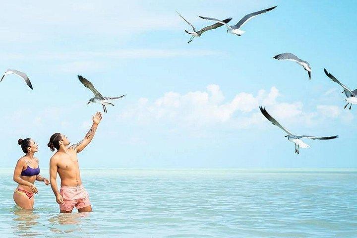 Adventure in Holbox