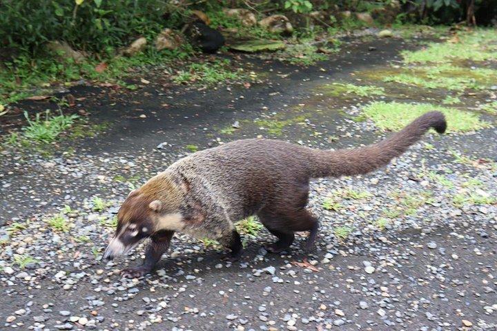 ソベラニア国立公園とカミノ・デ・クルース・ハイキングツアー
