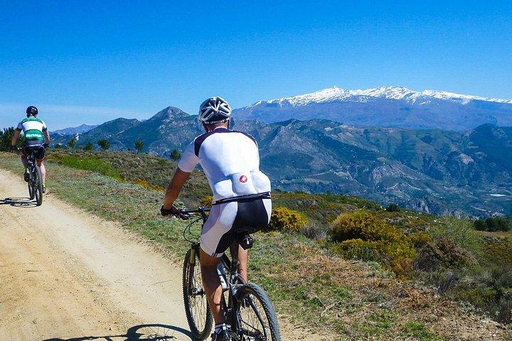 Guided E-MTB Adventure in La Herradura