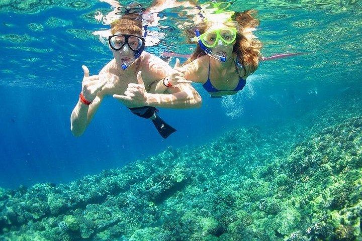 ラス モハメッドとホワイト アイランドの豪華ヨット旅行シャルム エル シェイク