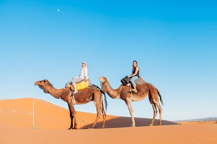 Agadir or taghazout : 4×4 Jeep Sahara Desert Trip with Lunch