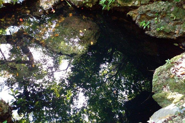 タイノ湾とアンバー湾からのカバレテ洞窟海岸観光