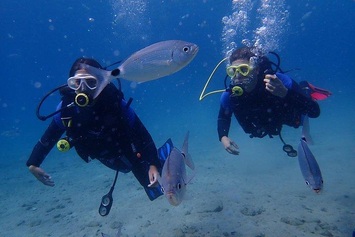Kos: Beginner Scuba Diving Experience in Pserimos Island