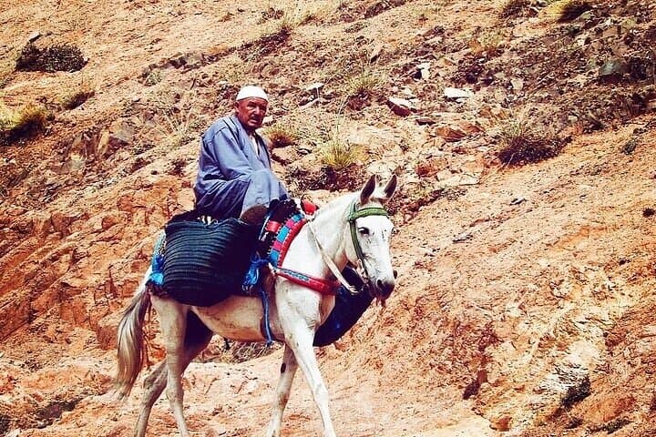 Marrakesh: Atlas Mountains Berber Villages & Waterfalls Tour