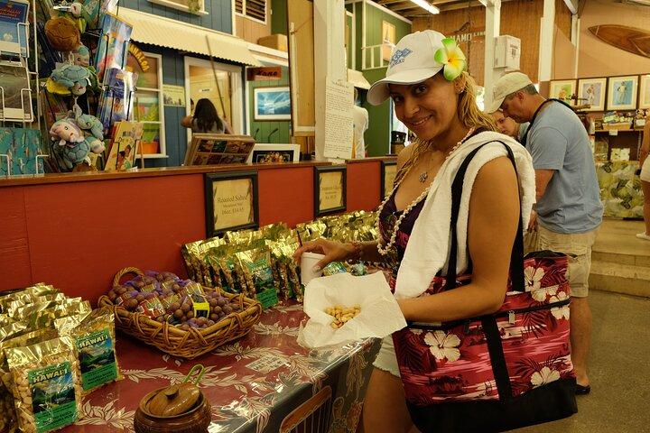 オアフの秘宝サークル アイランド ツアーと平等院寺院
