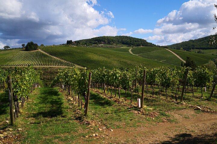 Privé wijntour Toscane halve dag Limousineservice Florence