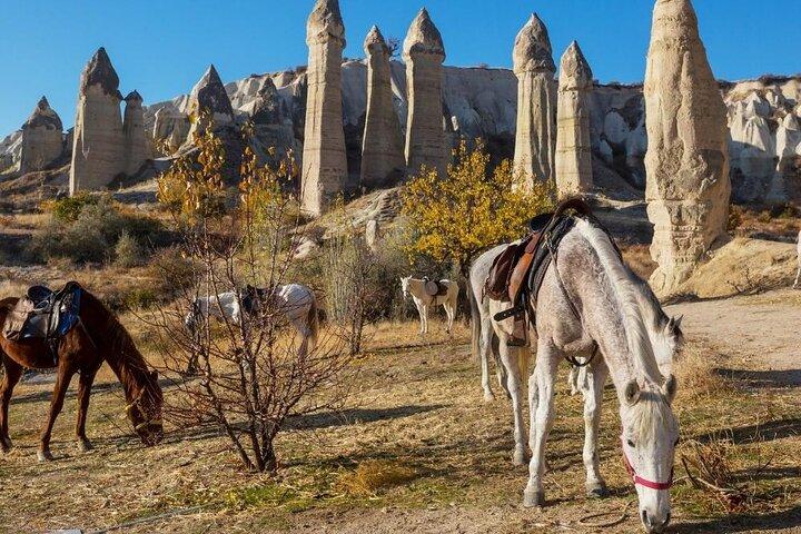Expérience D'Équitation en Cappadoce