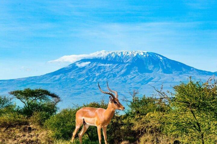 Safari de 2 jours dans le parc national d'Amboseli