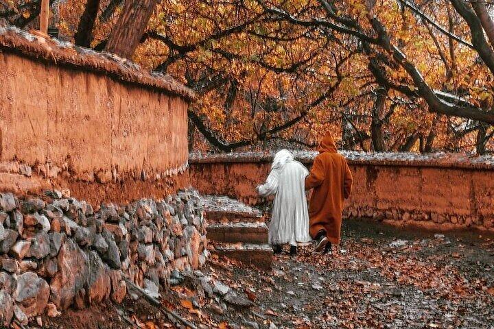 Private Full-Day Tour of Agafay Desert and Atlas Mountains
