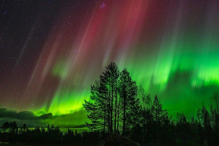 LA CHASSE SPECIAL aux aurores boreales guarantis