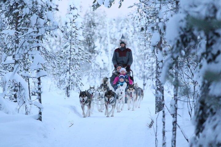 10 KM Selbstfahrendes Huskyschlittenabenteuer in Rovaniemi