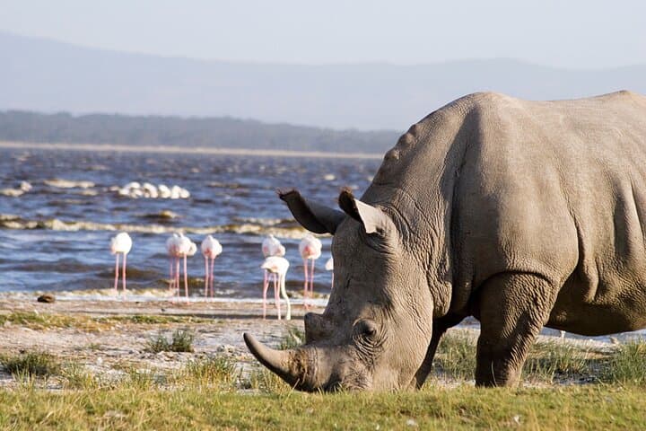 2 Days Tour Lake Nakuru Hells Gate and Lake Naivasha from Nairobi