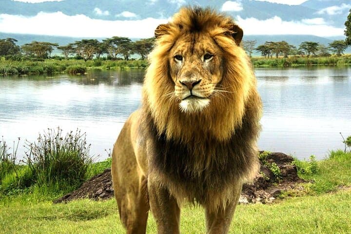 2 Days Tour Lake Nakuru Hells Gate and Lake Naivasha from Nairobi