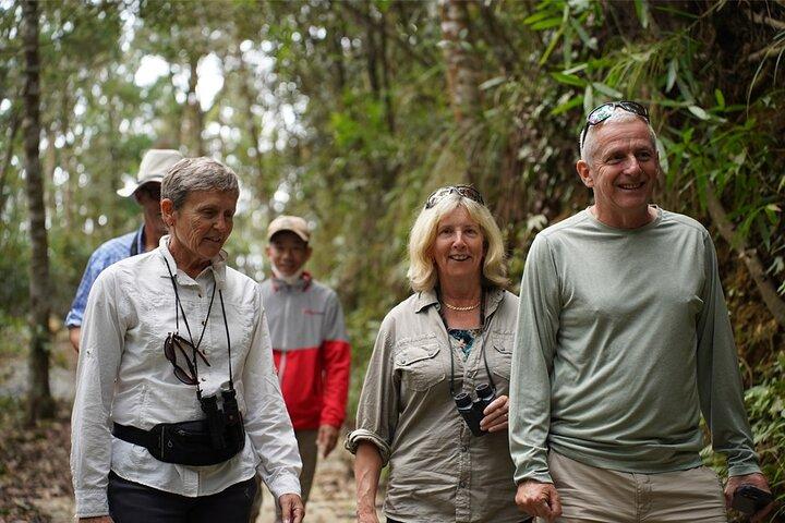 Trasferimento da Hue a Da Nang o Hoi An attraverso il Parco Nazionale di Bach Ma