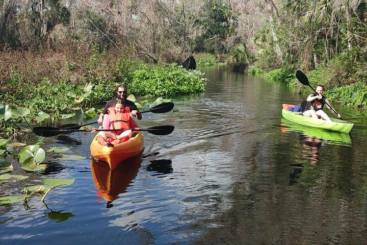 Wekiva Wildtier-Kajak-Abenteuertour