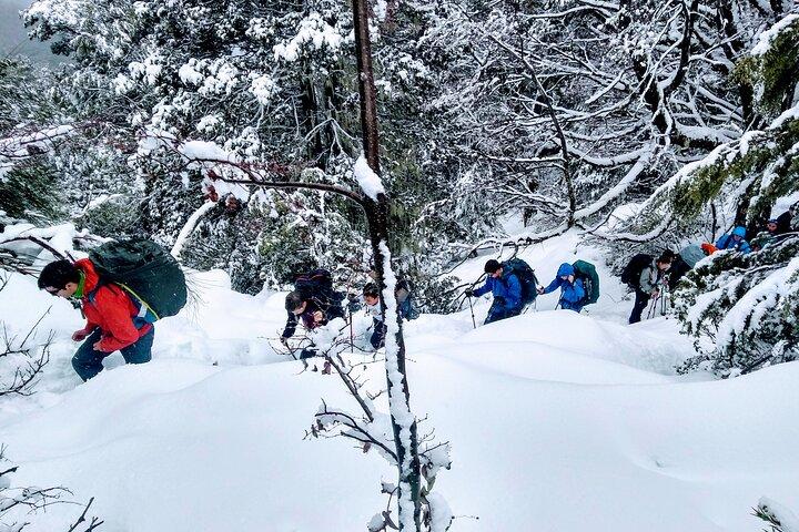 Randonnée privée en raquettes à Bariloche en hiver