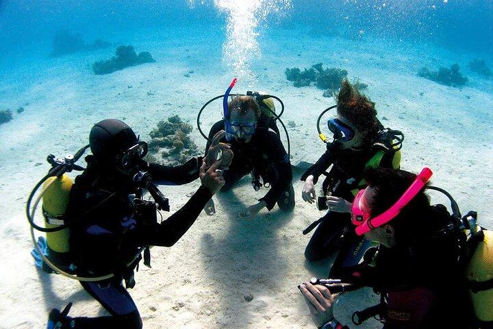 Fethiye Scuba Diving Experience By A Local Expert