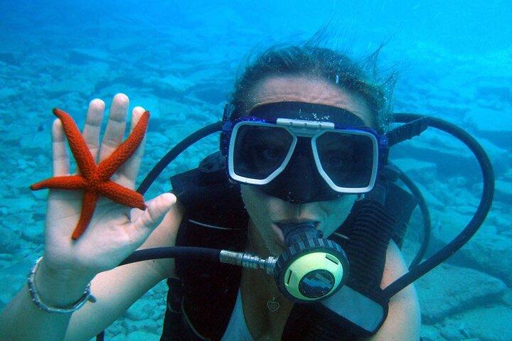 Fethiye Scuba Diving Experience By A Local Expert
