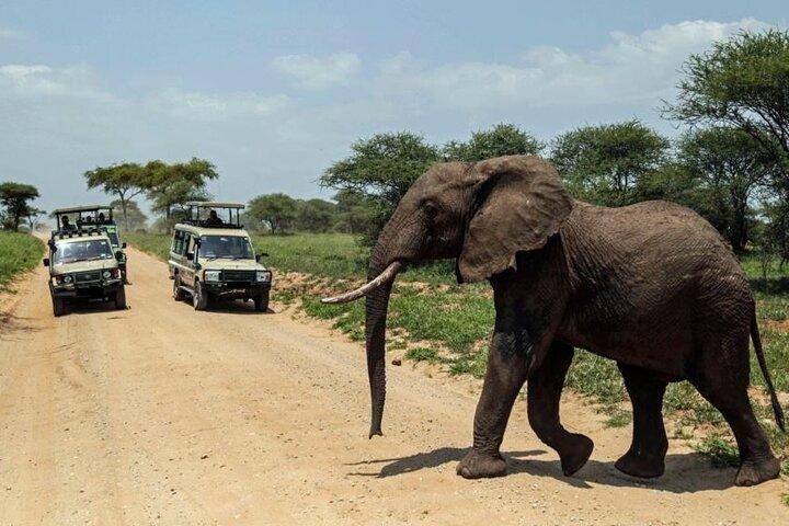 Safari de 2 jours dans le parc national d'Amboseli