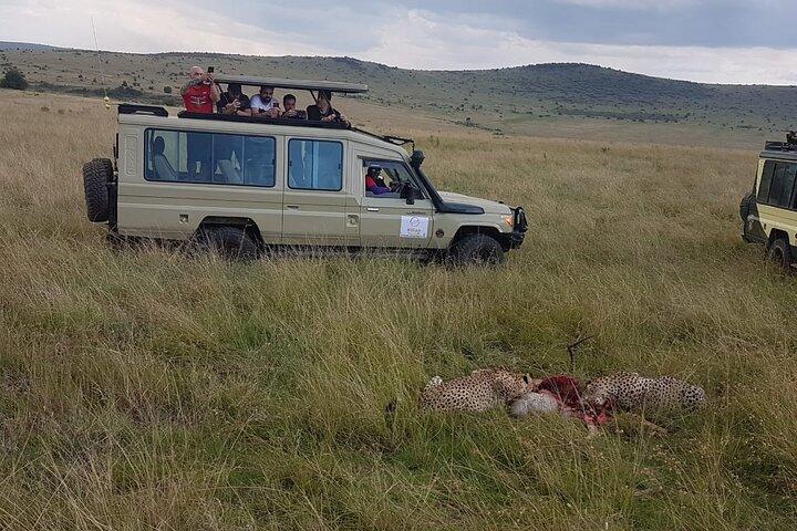 3 Days Maasai Mara Shared Safari