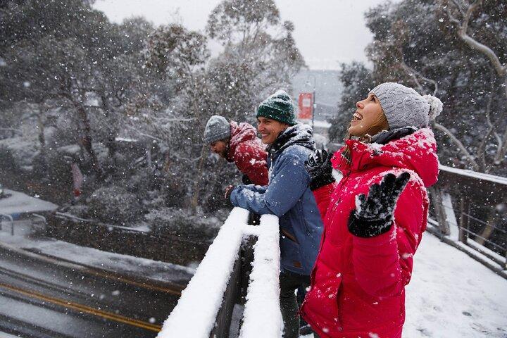 1 Day Thredbo Snow Tour