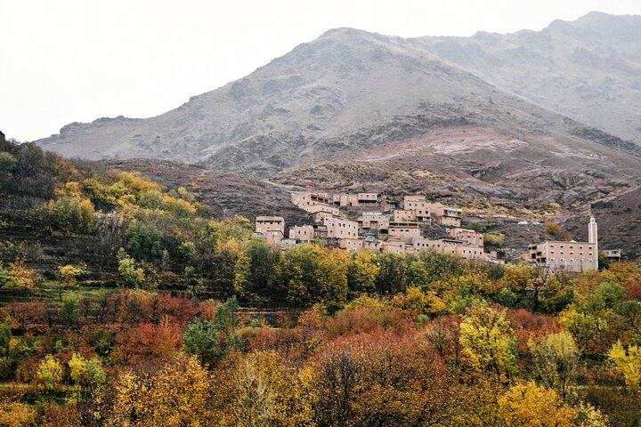 Full Day Trip To Ourika Valley and Atlas Mountains