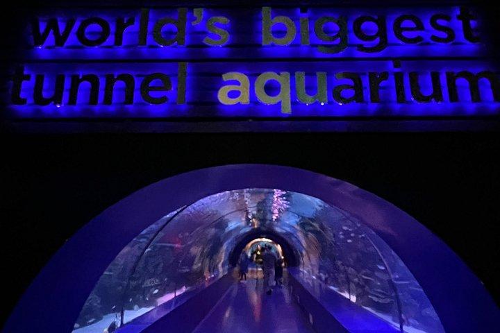 アンタルヤ水族館と対面蝋人形館のプライベート送迎