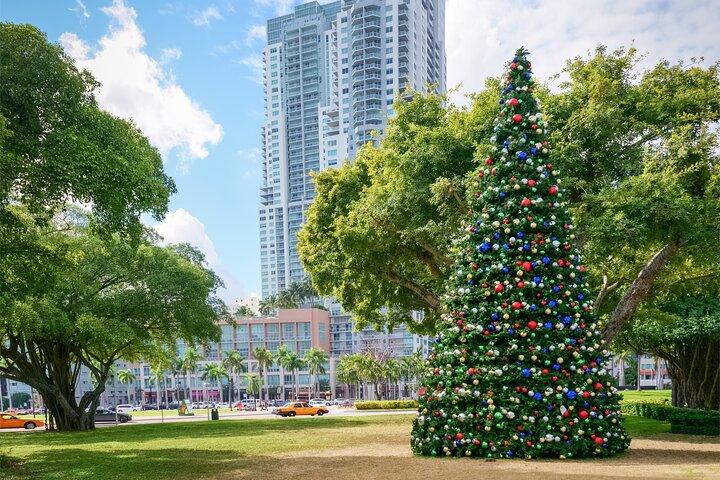 Miami Discovery: Privat julvandringstur