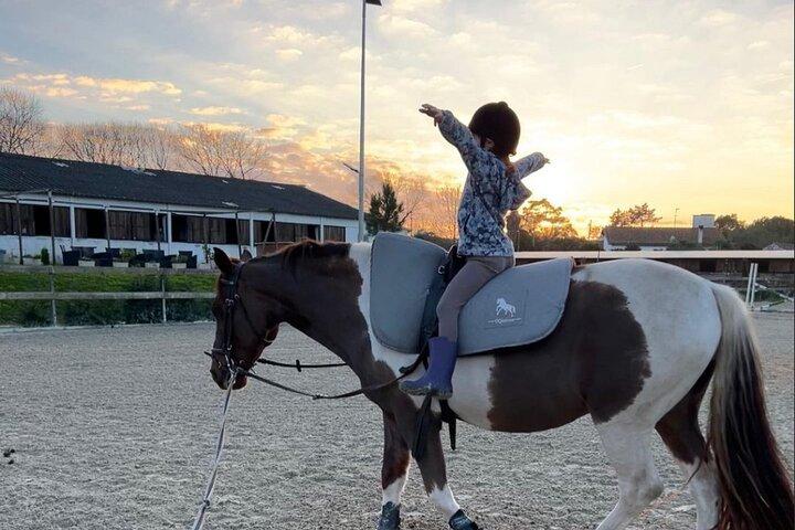 アヴェイロでの乗馬 - イリャボ