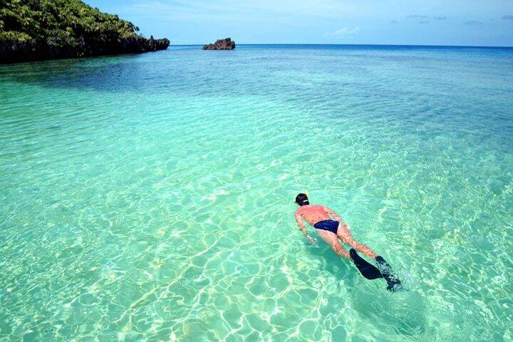 Eco Park und Strandtour in Roatan