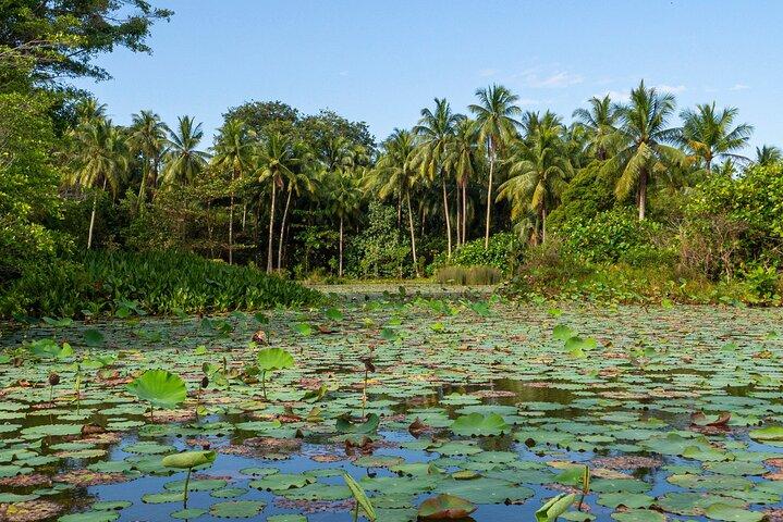Pulau Ubin. Ultimo villaggio a Singapore