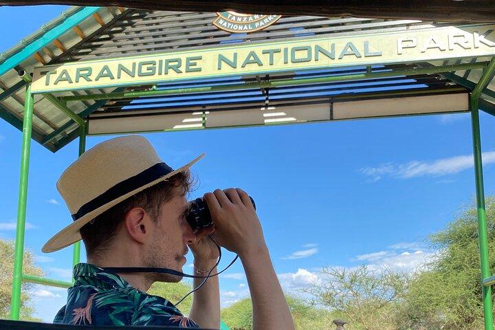 4 dage Tarangire Nationalpark, Serengeti Nationalpark og Ngorongoro-krateret