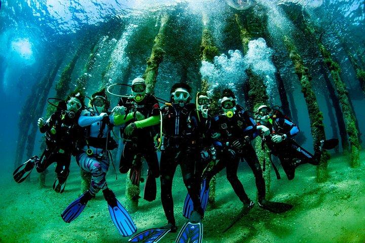 Shore PADI SCUBA Open Water Course