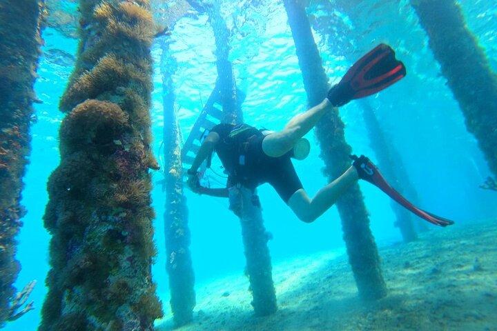 Shore PADI SCUBA Open Water Course