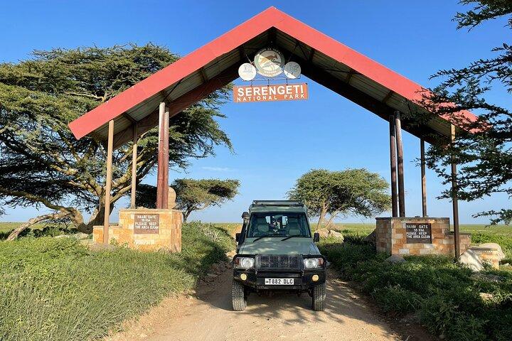 4 días Parque Nacional Tarangire, Parque Nacional Serengeti y Cráter Ngorongoro