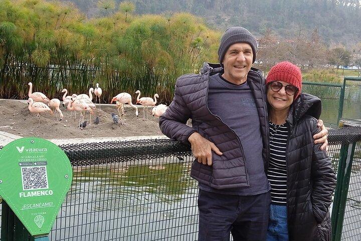City tour by Santiago of Chile -A beautiful experience - Half day
